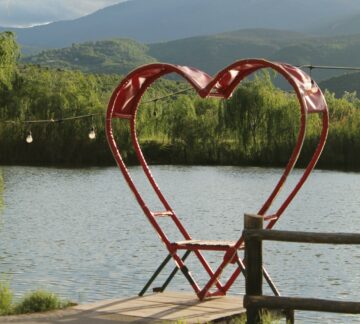 pexels-yllza-gashi-1054681706-29049167